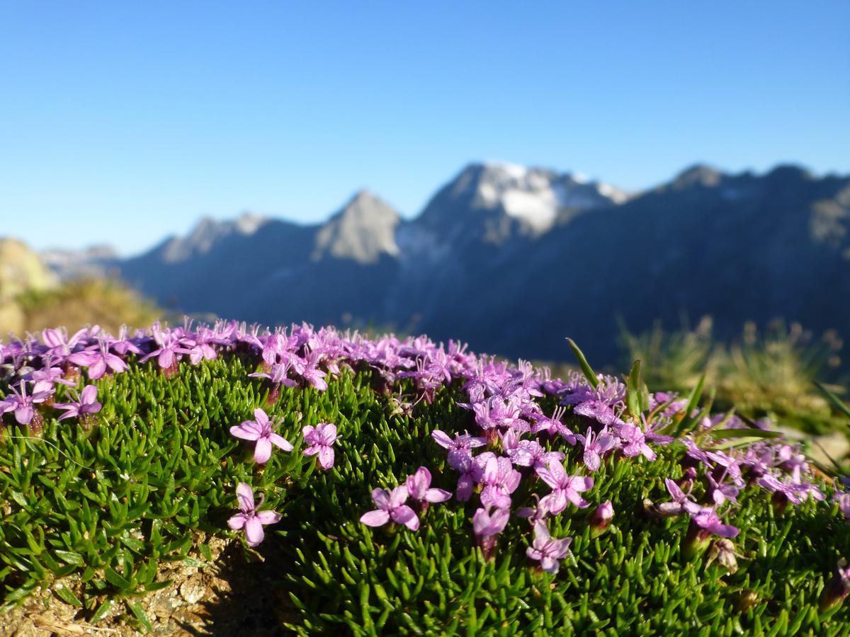 Gasthof Pension Kohlplatzl Hopfgarten in Defereggen エクステリア 写真